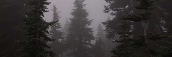 mcrification Profile Banner