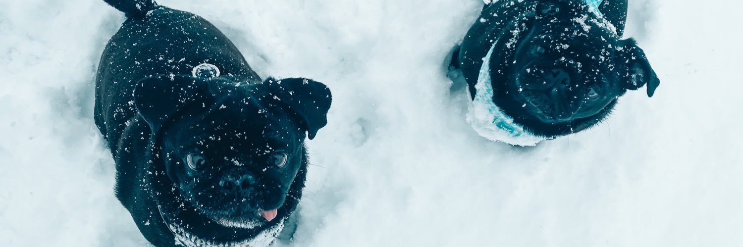 CallmeFannou's profile banner image
