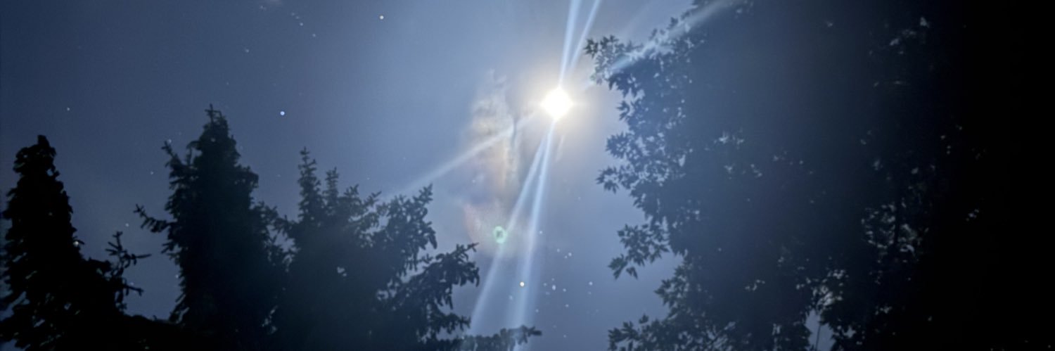 DarthRevRen's profile banner image
