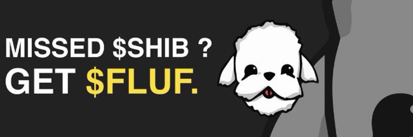 Fluffy Coin banner