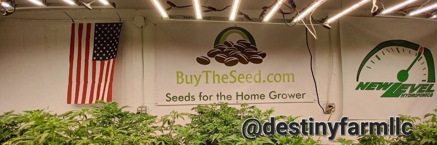 Buy the Seed Profile Banner