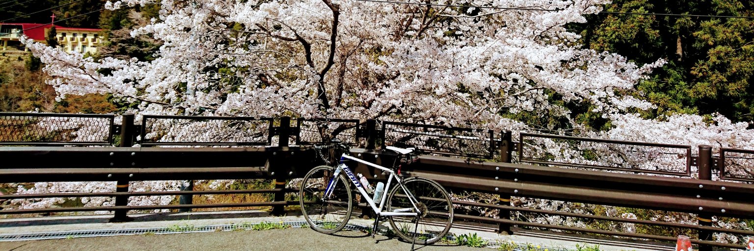 roku572's profile banner image