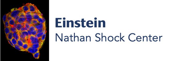 EinsteinAging Profile Banner