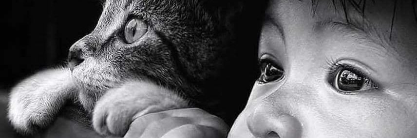 Neil Bates - fqxi.org/community/forum/topic/2119 banner