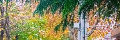 Keyera Moran(❖,❖) banner