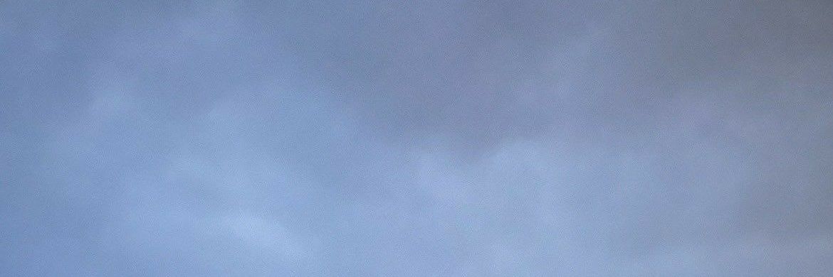 Nayara banner