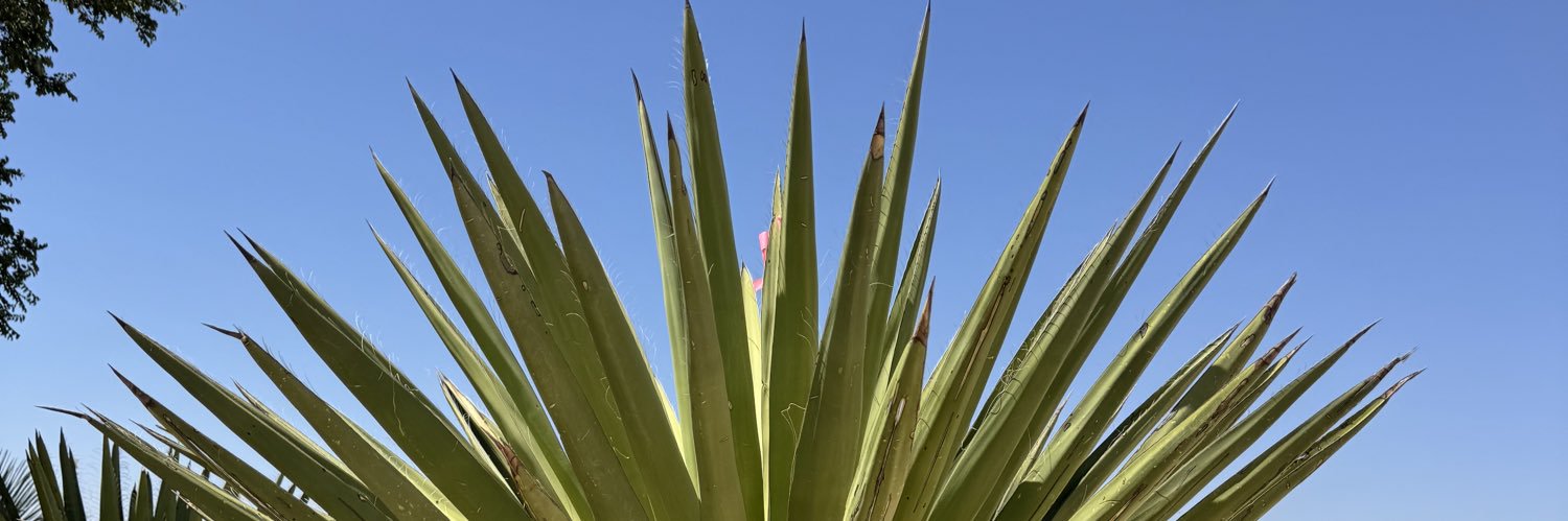 texbruden's profile banner image