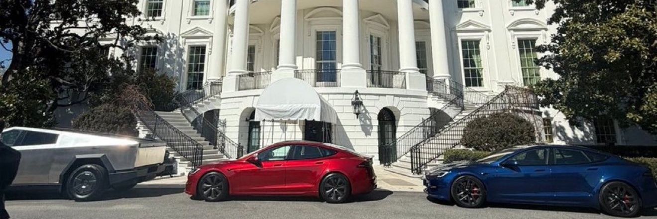 Tesla_brecque🏴‍☠️ banner