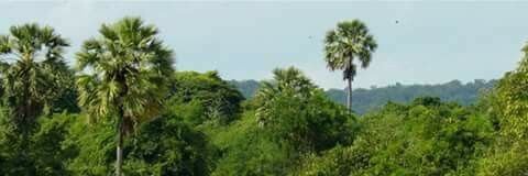 Rajahagaf's profile banner image