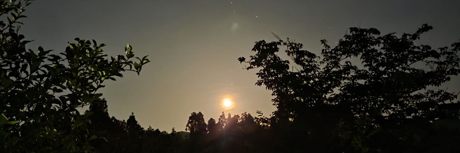halfboildegg's profile banner image