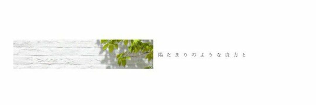 bshp_k banner