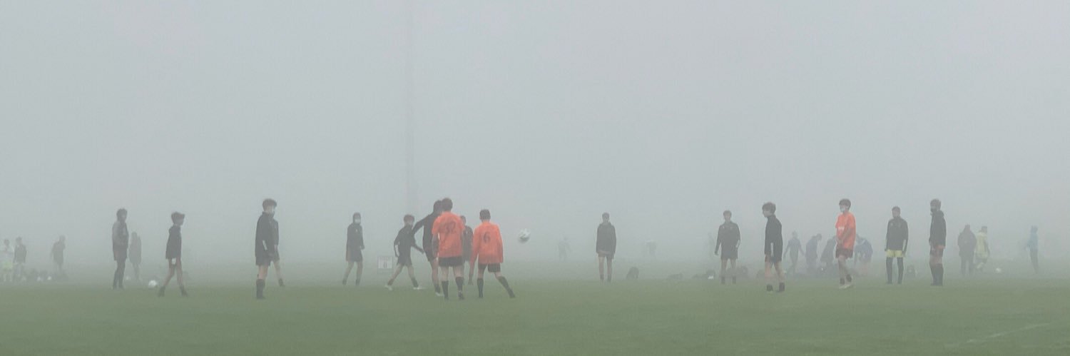 Mitchell Fein banner