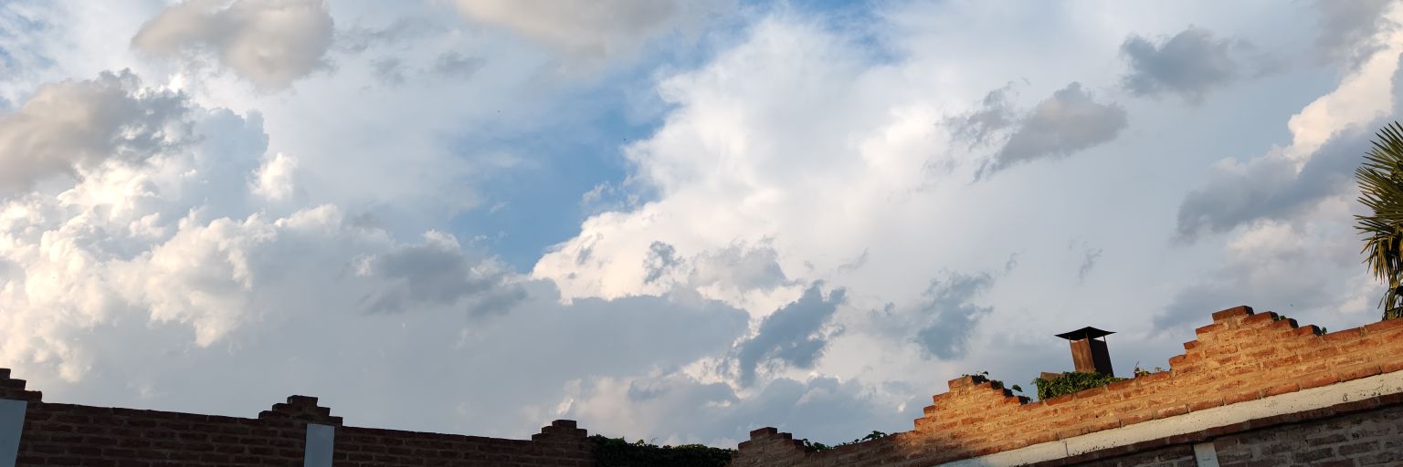 Elmostro🛹 banner