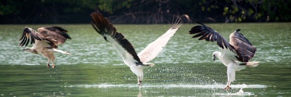 Hubbus Profile Banner