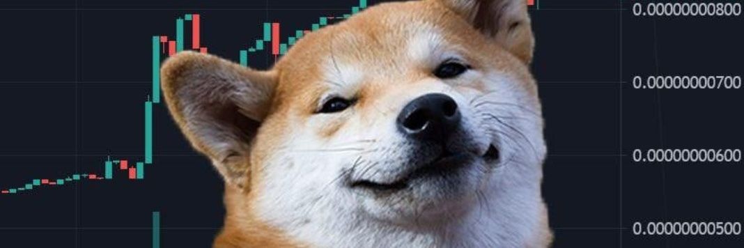 InfiniteDensity - DogeGF ❤️❤️❤️🏴‍☠️🦢 banner