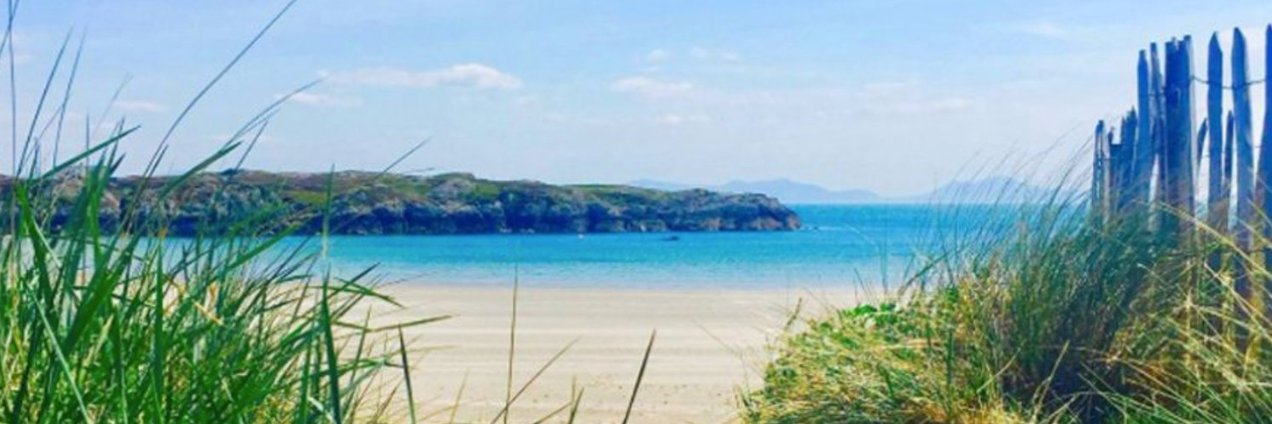 Captain Ripples banner