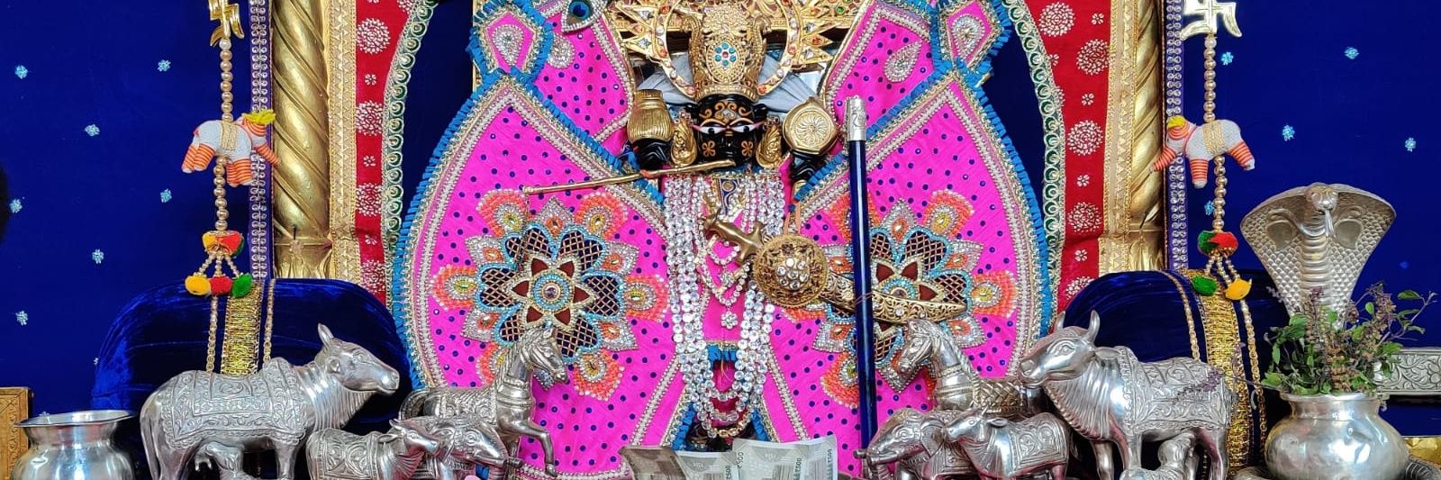 राघव पाठक banner