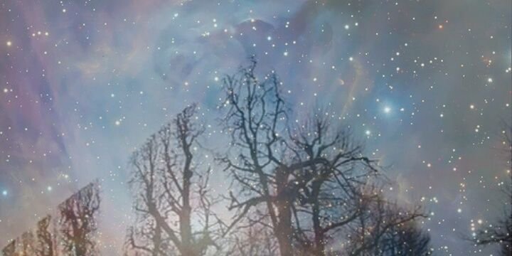 pinalternate's profile banner image