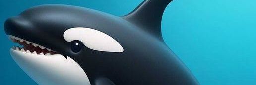 🐋Paul orca 🐬 banner