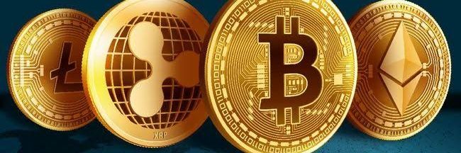 Crypto Bull banner