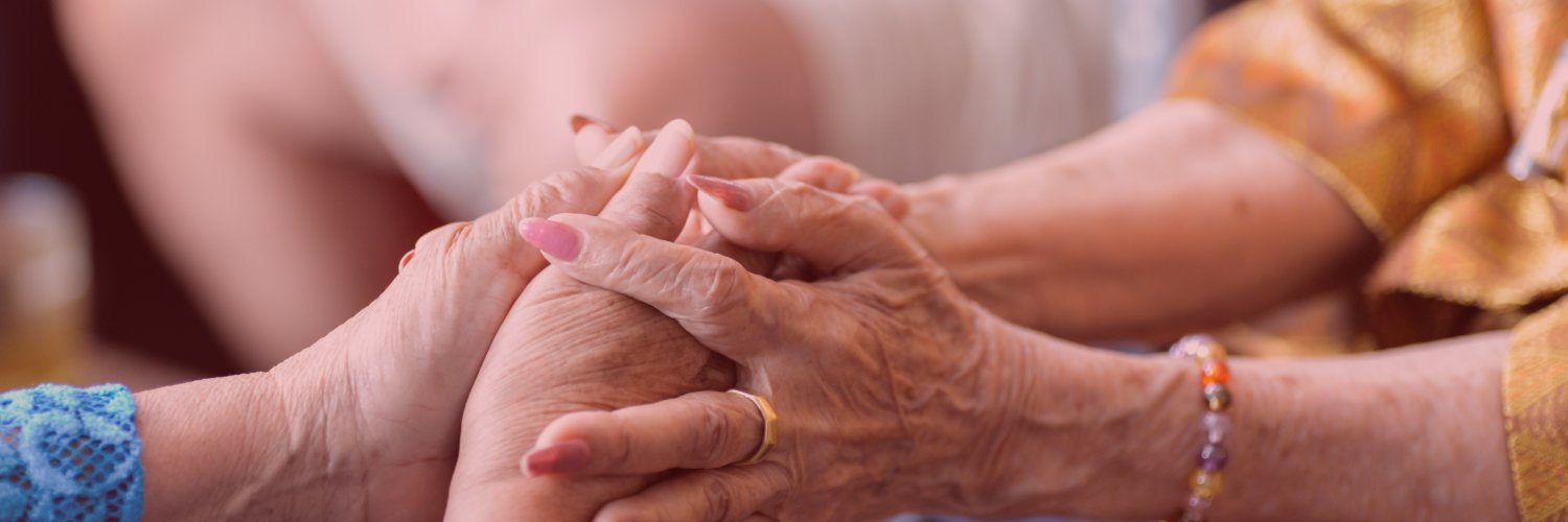 LSAHA- Lebanon Study on Ageing and HeAlth's banner