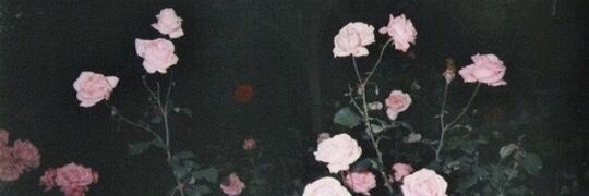 graveyardlight's profile banner image