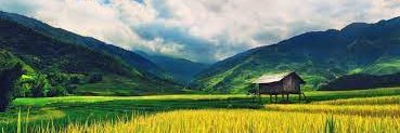 tuyn banner