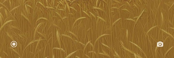 Olayiwola Quazeem $XAGE 🧢 banner