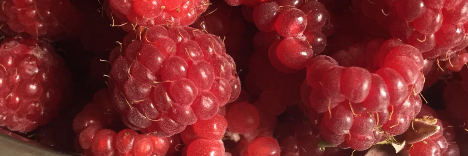TheFoodFiles's profile banner image
