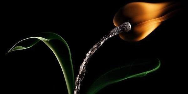 crml19crm's profile banner image
