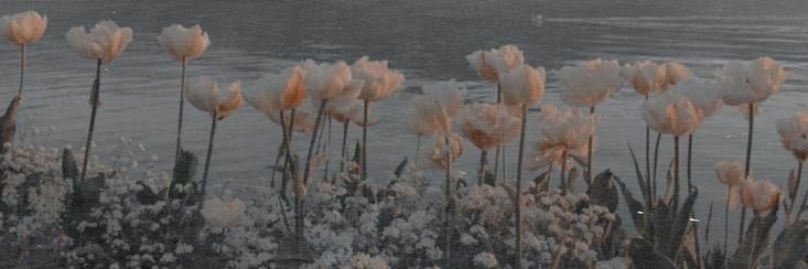 MIA - 유삠삠, In The Next's banner