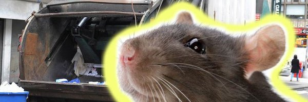 rat_liker Profile Banner