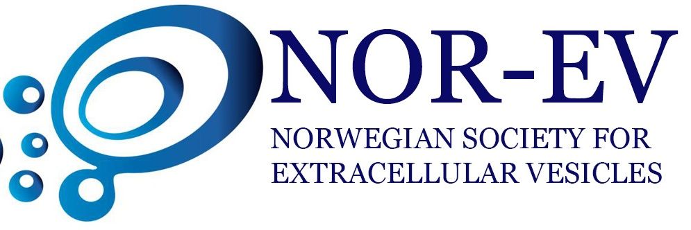NOR_EVs's profile banner image