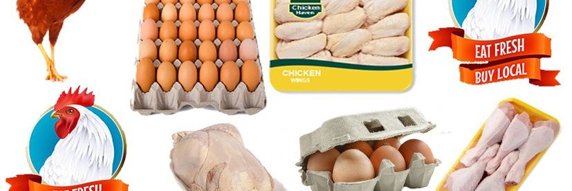 Chicken 🐓 Haven-Kenya banner