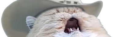 Jake's banner