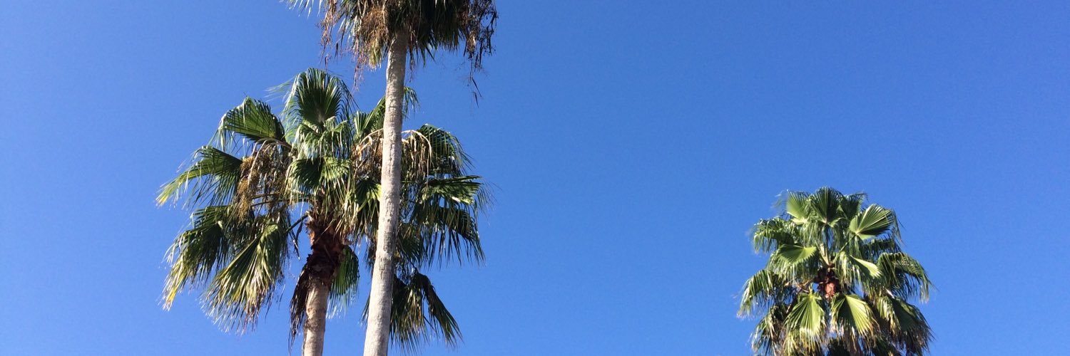 livvedmonds's profile banner image