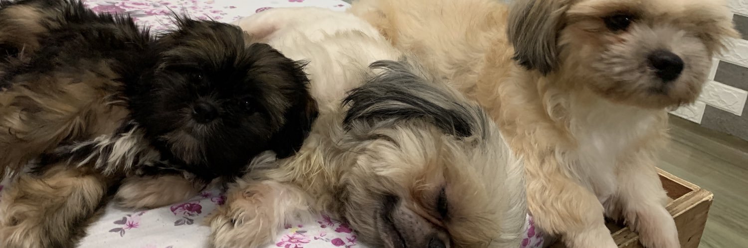 UYsiCHRIS's profile banner image