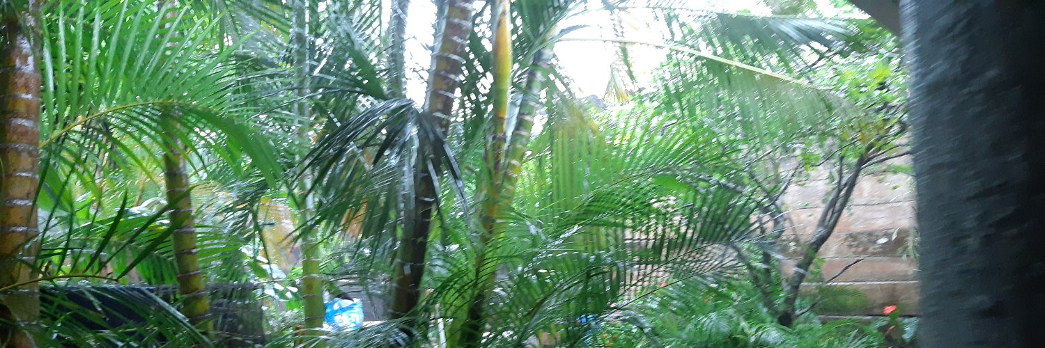 jorala01's profile banner image