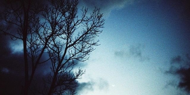moonlitmcvey's profile banner image