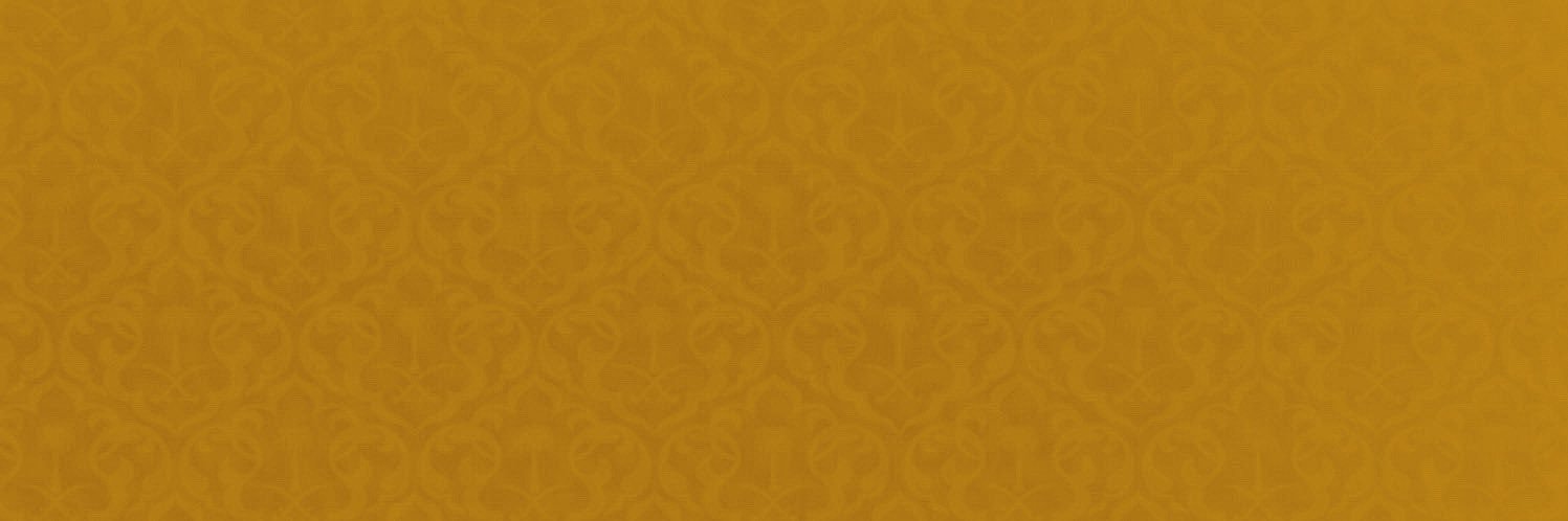 areeb_a_alsaud's profile banner image