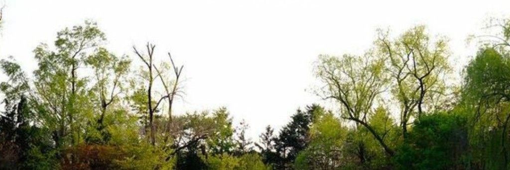 M banner