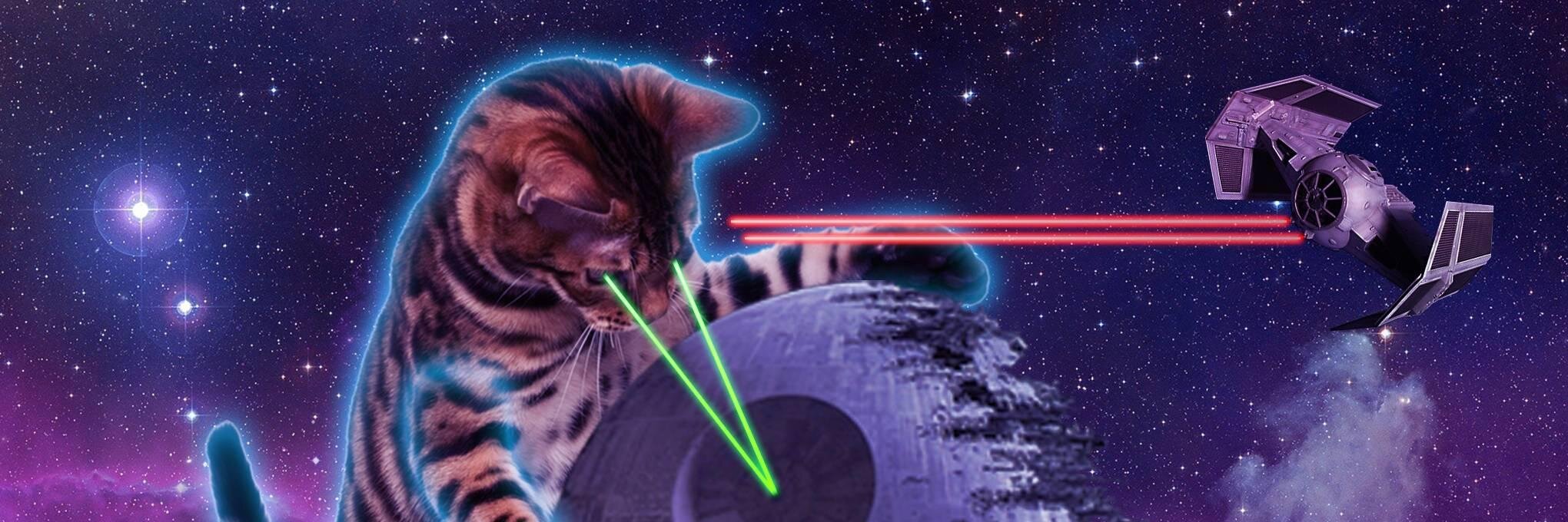 Australopatscus's profile banner image