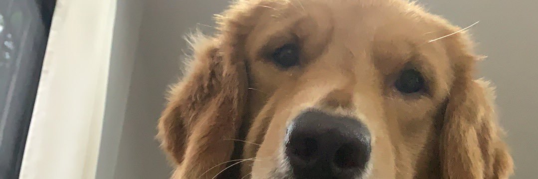 iPeaches_'s profile banner image