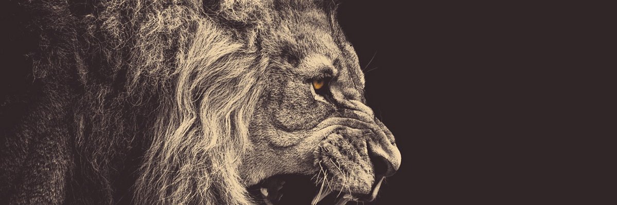 The___Smoke's profile banner image