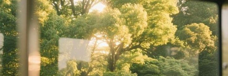 ameroraaa's profile banner image