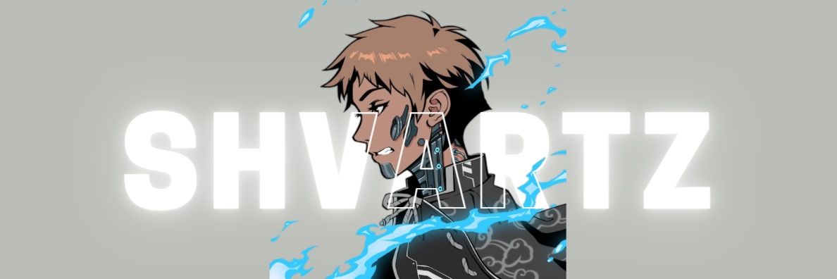 WEB3 | SHVARTZ  banner