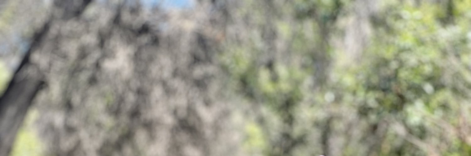 Carlos Luis Mota-Rodríguez banner