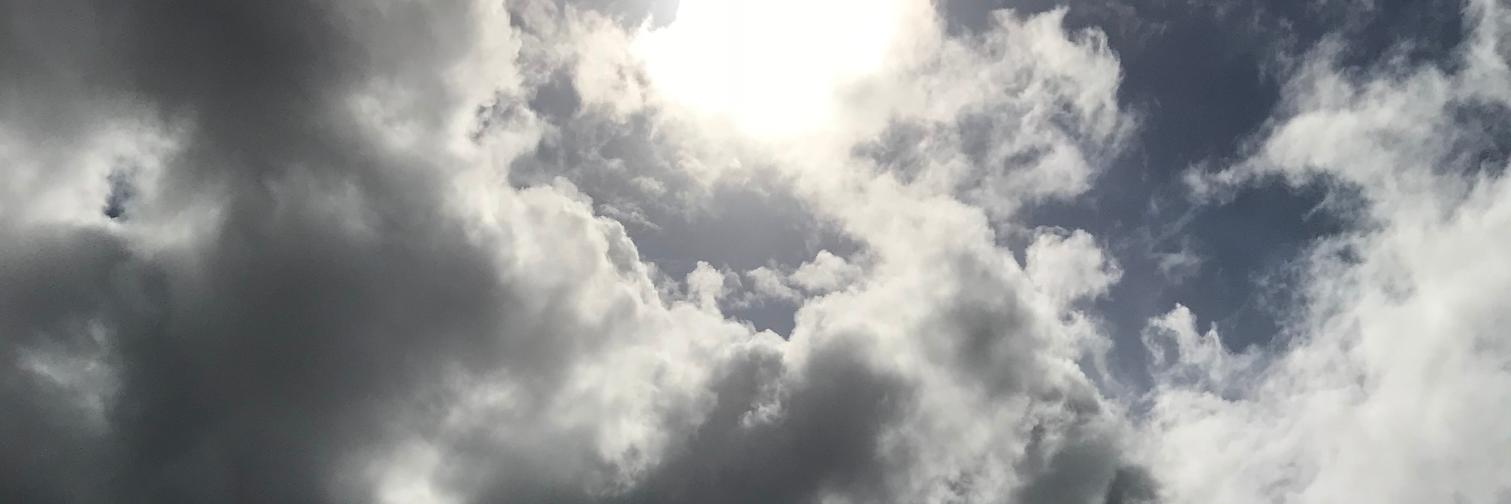 ridomin's profile banner image