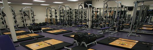 Brickie Strength and Conditioning banner