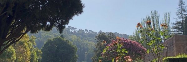 DanniFengMed Profile Banner